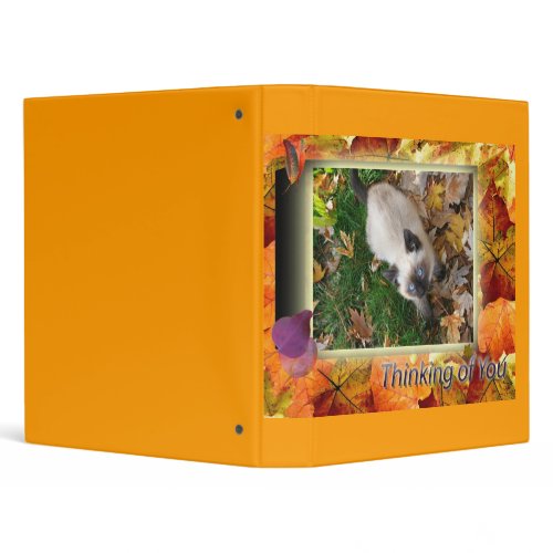 Autumn kitty binder