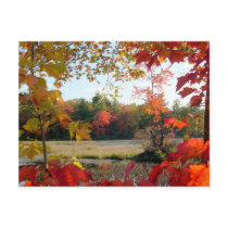 Autumn Lake Framed postcards