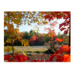 Autumn Lake Framed Postcard