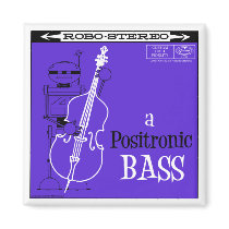 Autumn Lake "POSITRONIC BASS" Magnet by mooncity Autumn Lake "POSITRONIC BASS" Magnet