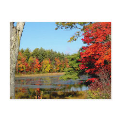 Autumn Lakeside postcard
