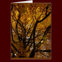 Autumn Landscape Blank Card Beautiful Print Cards cards