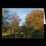 Autumn Landscape, Bute Park, Cardiff cards