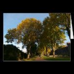 Autumn Landscape, Bute Park, Cardiff cards
