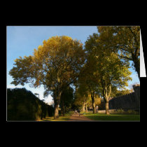 Autumn Landscape, Bute Park, Cardiff