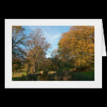 Autumn Landscape, Bute Park, Cardiff (Bordered) cards