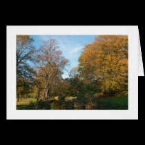 Autumn Landscape, Bute Park, Cardiff (Bordered)