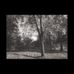 Autumn Landscape, Bute Park, Cardiff canvas prints