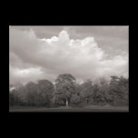 Autumn Landscape Bute Park Cardiff canvas prints