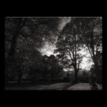 Autumn Landscape Bute Park Cardiff photography