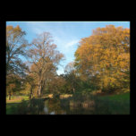 Autumn Landscape, Bute Park, Cardiff photography