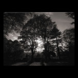 Autumn Landscape Bute Park Cardiff photography