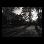Autumn Landscape Bute Park Cardiff photography