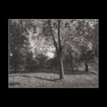 Autumn Landscape Bute Park Cardiff postcards
