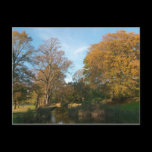 Autumn Landscape Bute Park Cardiff postcards