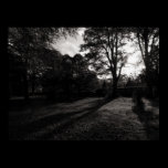 Autumn Landscape Bute Park Cardiff posters