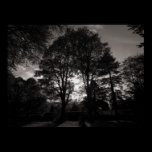Autumn Landscape Bute Park Cardiff posters