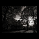 Autumn Landscape Bute Park Cardiff posters