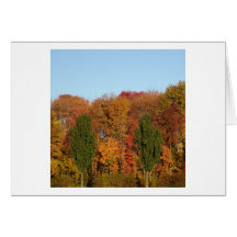 Autumn Landscape Greeting Card