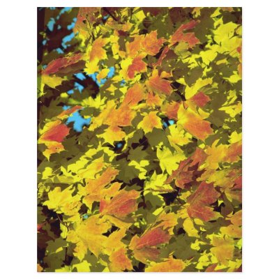 Autumn landscape, New England Flyer by beautifulclicks
