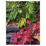 Autumn landscape, New England, U.S.A. Custom Flyer
