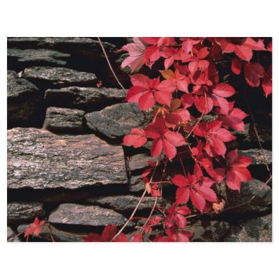 Autumn landscape, New England, U.S.A. from the For Flyers by beautifulclicks