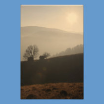 Autumn landscape photography