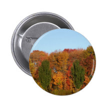 Autumn Landscape Pins