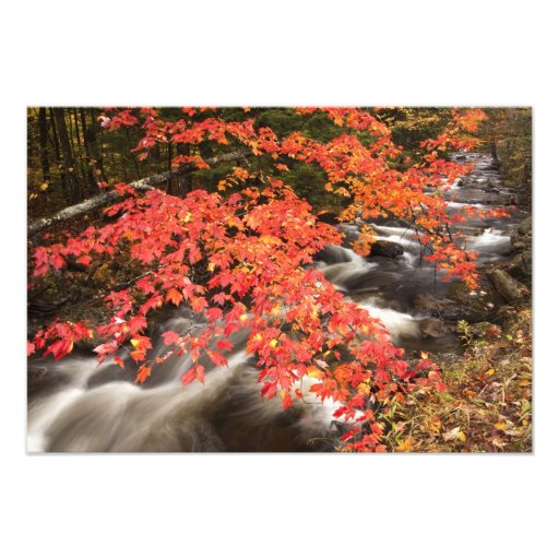 Autumn landscape, Vermont, USA 4 Photograph