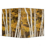 Autumn landscape, Vermont, USA 3 Ring Binders