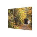 Autumn landscape, Vermont, USA Canvas Print