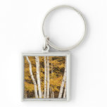 Autumn landscape, Vermont, USA Keychains