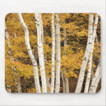 Autumn landscape, Vermont, USA Mousepads