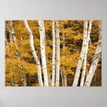 Autumn landscape, Vermont, USA