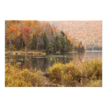Autumn landscape with lake, Vermont, USA 3