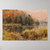 Autumn landscape with lake, Vermont, USA 3