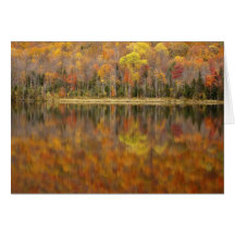 Autumn landscape with lake, Vermont, USA Greeting Cards