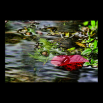Autumn Leaf1683 posters