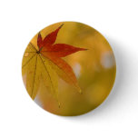 Autumn Leaf Button