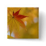 Autumn Leaf Buttons