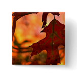Autumn Leaf Button