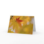 Autumn Leaf Cards
