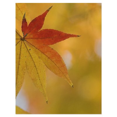 Autumn Leaf Flyer Design by fantasian_angel