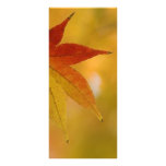 Autumn Leaf Full Color Rack Card