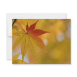 Autumn Leaf Personalized Invites