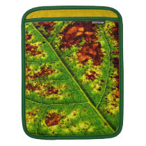 Autumn Leaf ipad sleeves