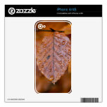 Autumn leaf iPhone 4/4s skin Decals For The iPhone 4