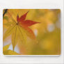Autumn Leaf Mousepad