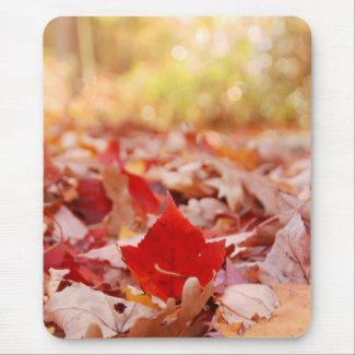 Autumn Leaf Pile mousepad