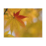 Autumn Leaf Post Cards